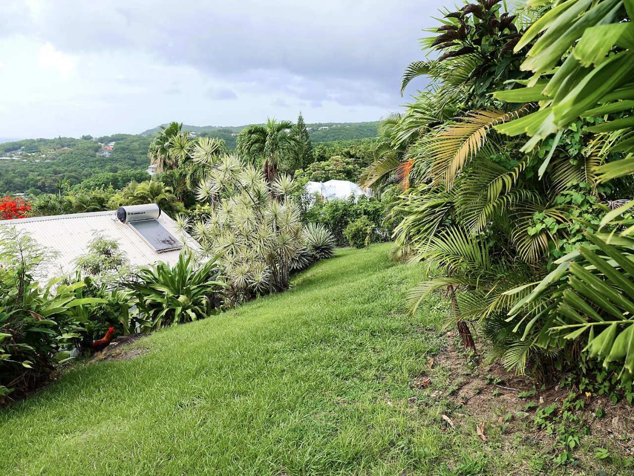 Karureve Villa Deshaies Exteriör bild