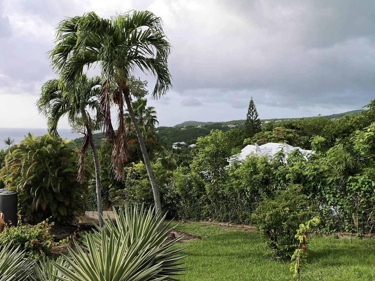 Karureve Villa Deshaies Exteriör bild